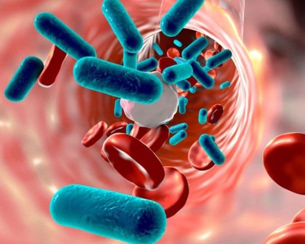 Infecções por bactérias estão ficando mais resistentes a antibióticos, alerta OMS