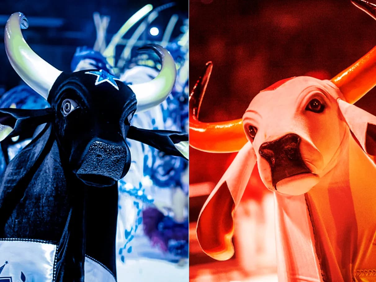 Caprichoso e Garantido se manifestam sobre mortes de crianças indígenas em Barreirinha