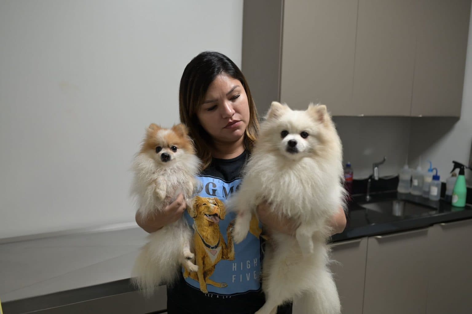 “Conversa fiada”: Joana Darc reage a declarações de Verônica Seixas e diz que salvou animais de maus-tratos