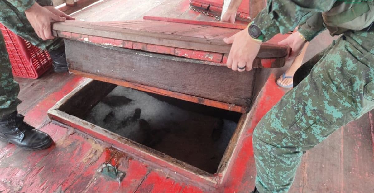 Ipaam e Batalhão Ambiental da PM apreendem cinco toneladas de peixe sem documentação no bairro Educandos