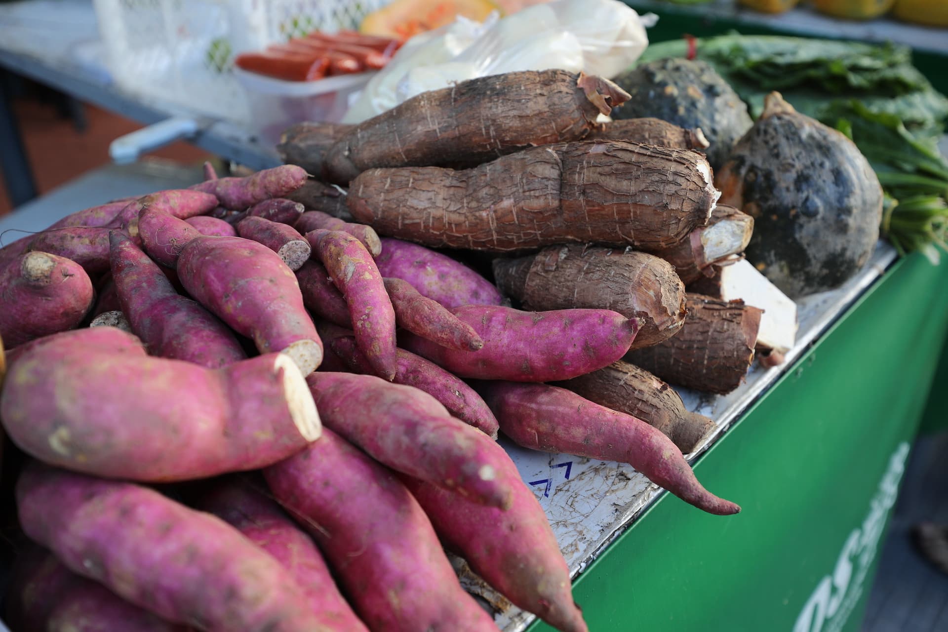 Descubra os poderosos alimentos da Amazônia que podem aumentar sua longevidade