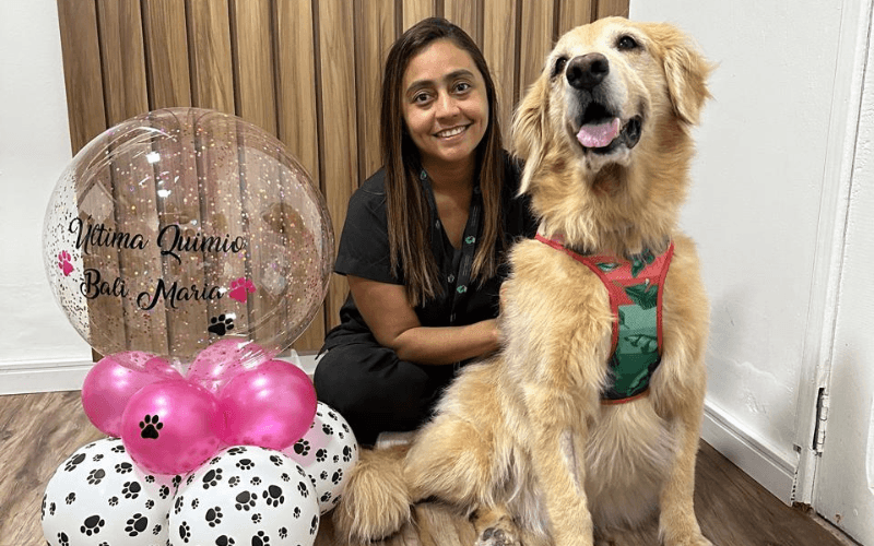 Outubro Rosa Pet: câncer de mama também pode afetar animais de estimação