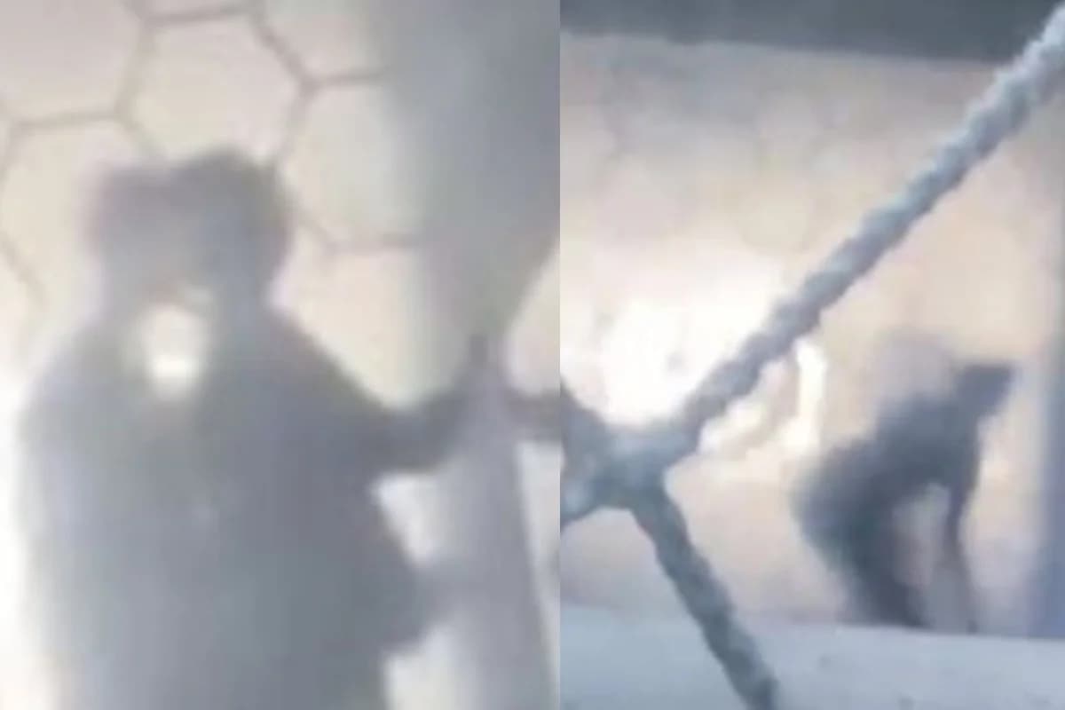 VÍDEO +18: Alunos são flagrados fazendo sexo em faculdade