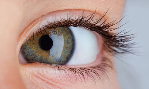 Dia Mundial da Visão: Confira 4 dicas para cuidar da saúde ocular