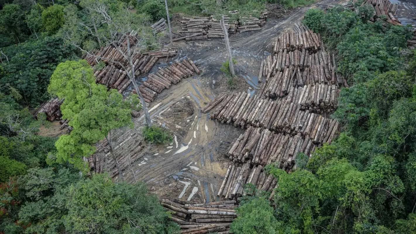 Amazonas concentra quase um quinto das áreas sob risco de desmatamento na Amazônia