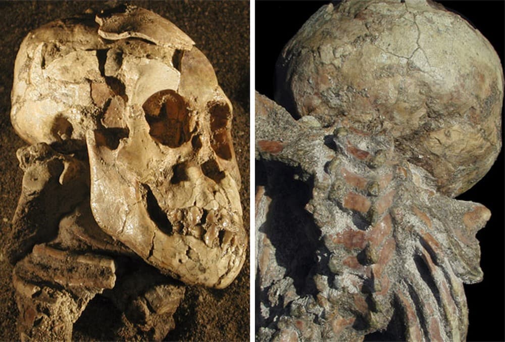 Descoberta revela que duas espécies humanas conviveram na Etiópia há 3,4 milhões de anos