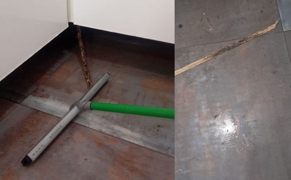 Moradora confunde pedaço de madeira com cobra e aciona Bombeiros na zona Sul de Manaus