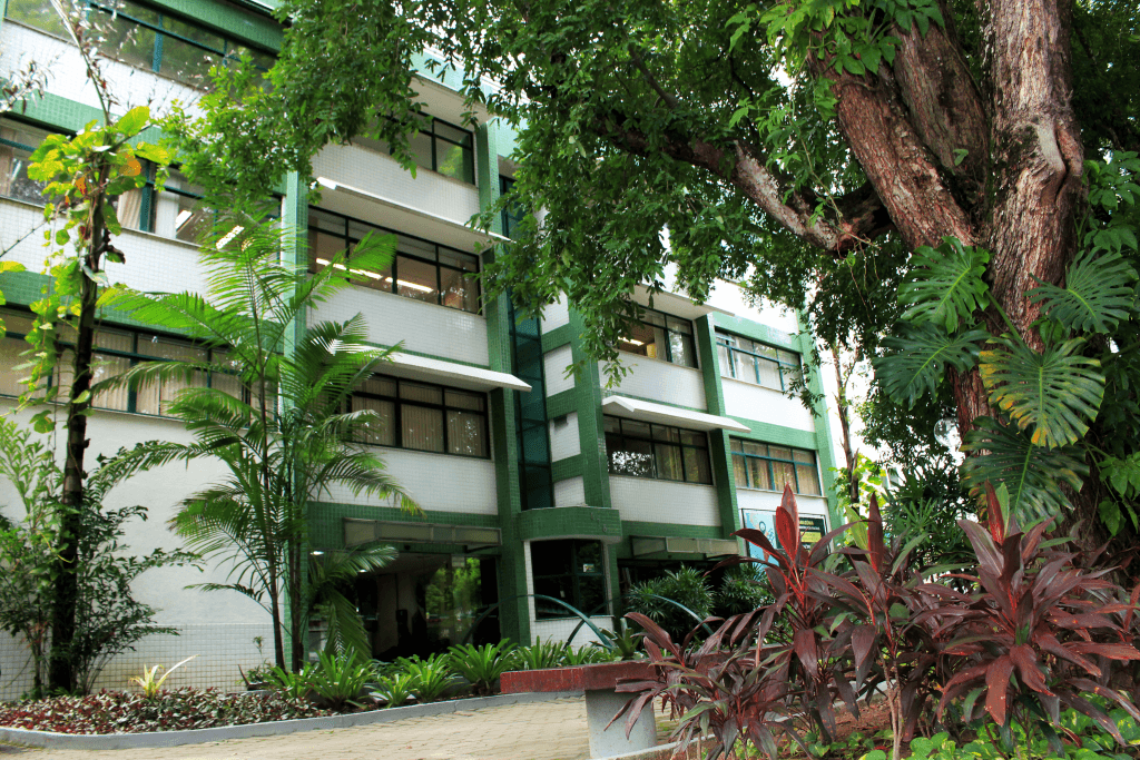 Fiocruz abre inscrições para curso gratuito para profissionais de saúde do Amazonas