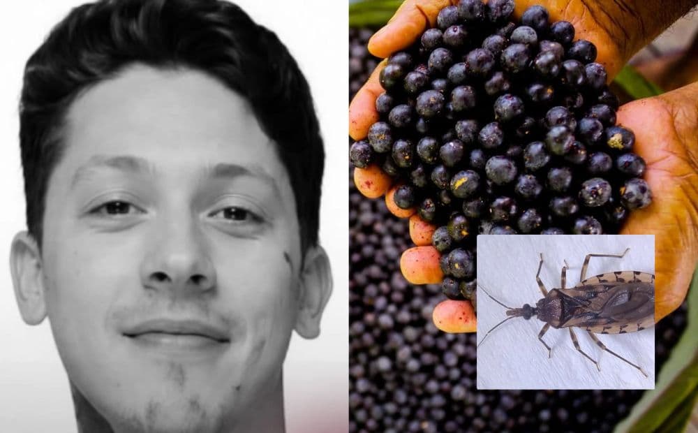 Açaí contaminado com fezes de barbeiro causa morte de jovem no Pará
