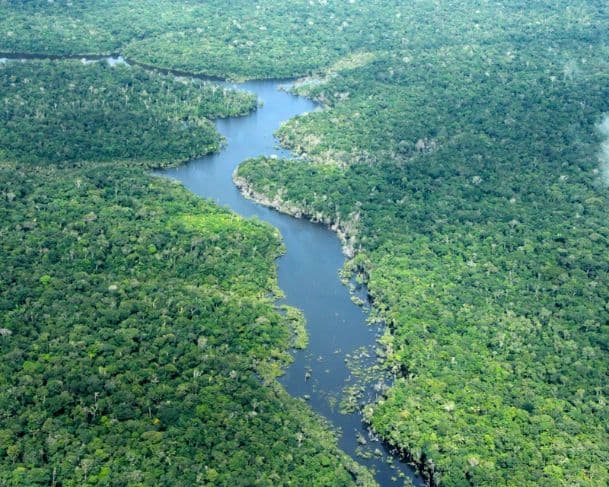 Amazonas registra, em 2025, menor número de alertas de desmatamento em oito anos