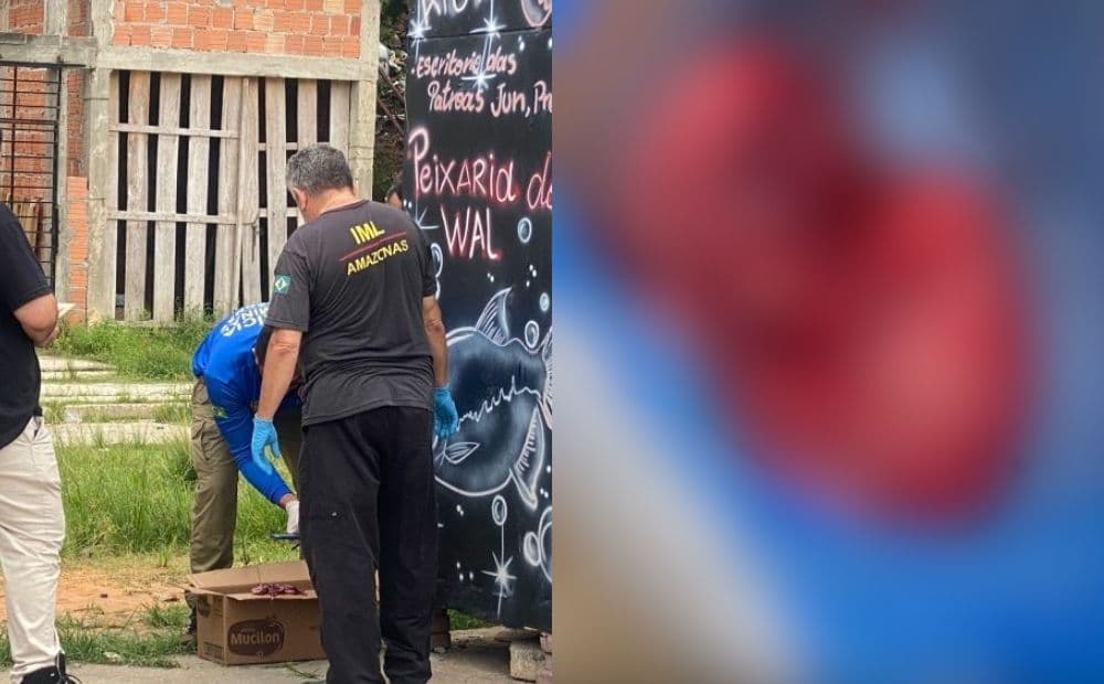 IMAGENS FORTES: Vídeo mostra feto que foi encontrado em caixa de lixo na zona Sul de Manaus