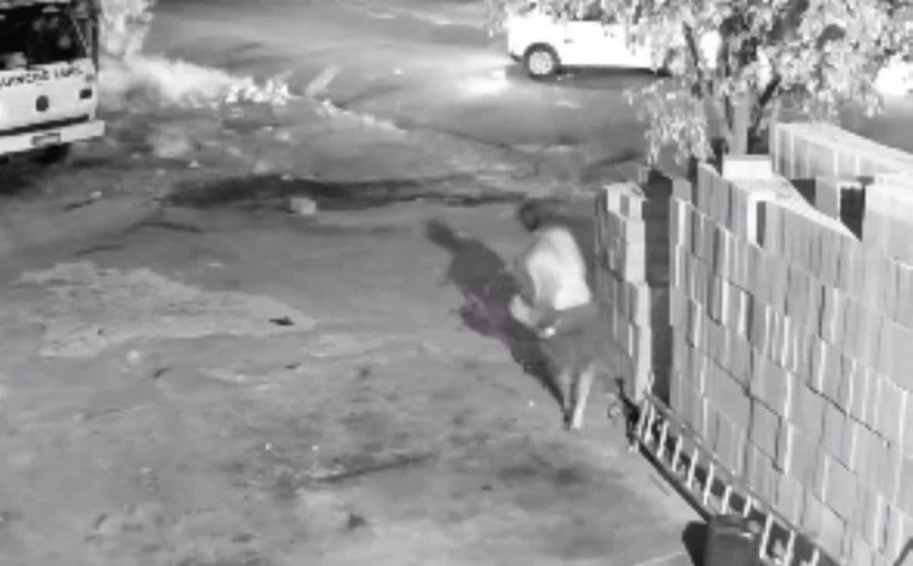 Tentativa de assalto a empresa termina com homem morto em SP