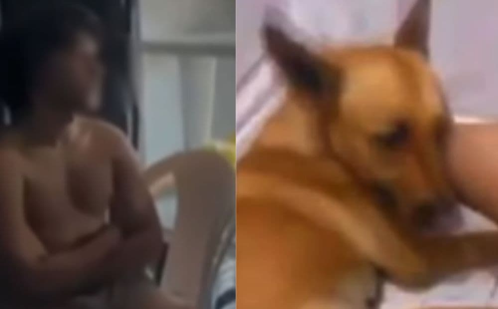 “Peguei para experimentar”: Vídeo mostra jovem confessando zoofilia contra cadela em Manaus