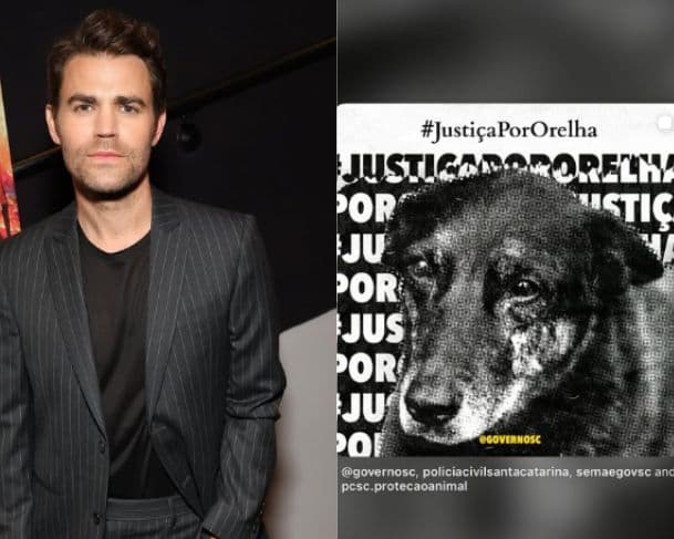 Ator de ‘Vampire Diaries’ compartilha post pedindo justiça por Orelha