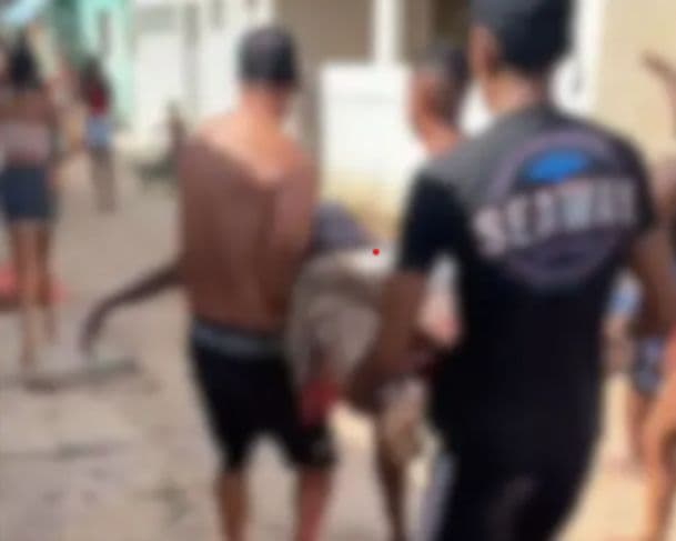 Jovem de 13 anos morre após ser atacado por tubarão em Recife