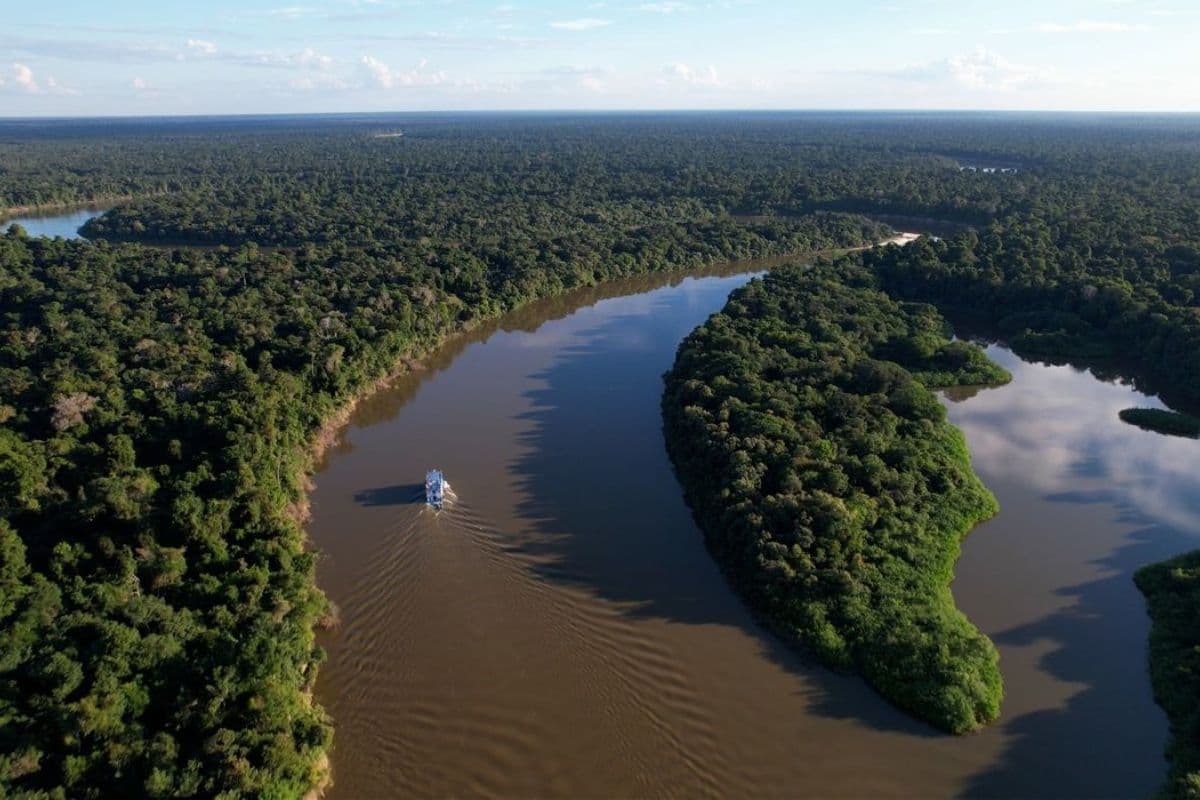 Fiscalização ambiental cresce 80% na Amazônia em dois anos, aponta governo