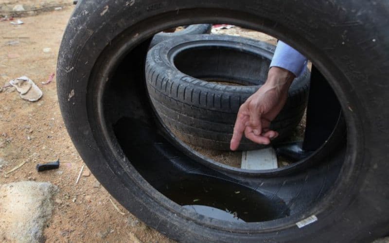 Saiba como se proteger da dengue durante o período chuvoso no Amazonas