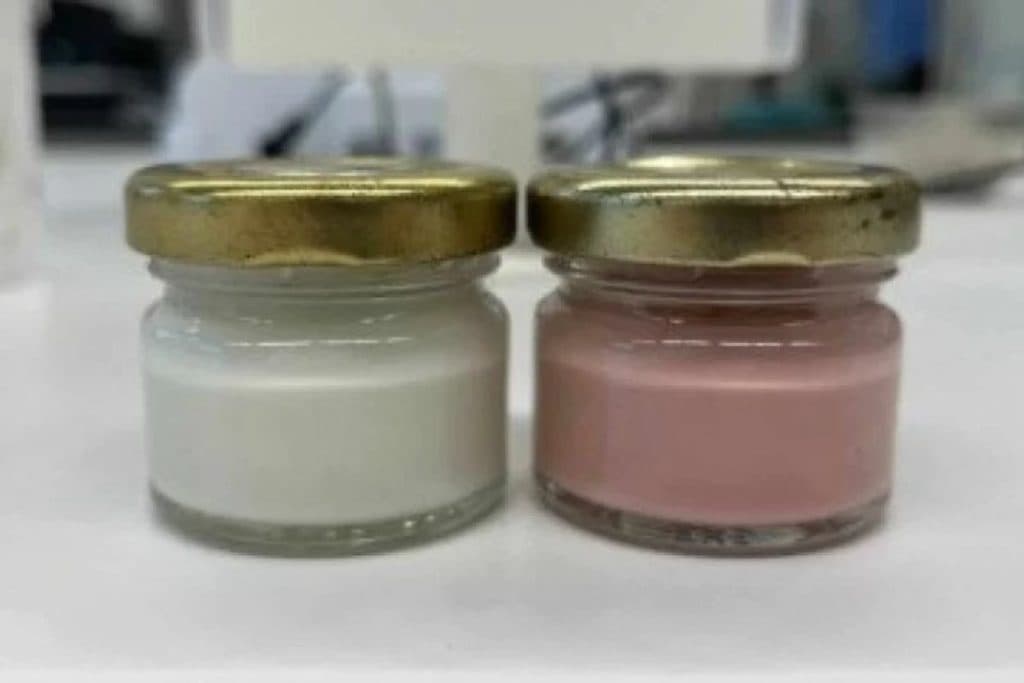 Fungo da Amazônia pode substituir corantes sintéticos em cosméticos