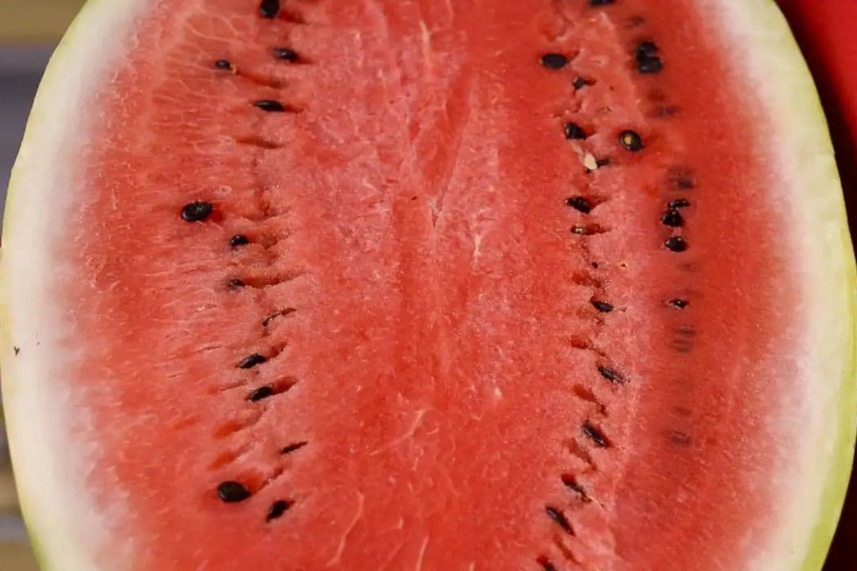 Estudo aponta que consumo de melancia pode desencadear crises de enxaqueca