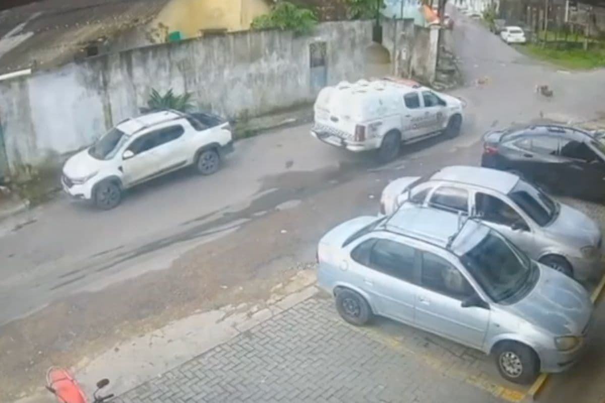 PMs que atropelaram dois cães em Manaus são afastados