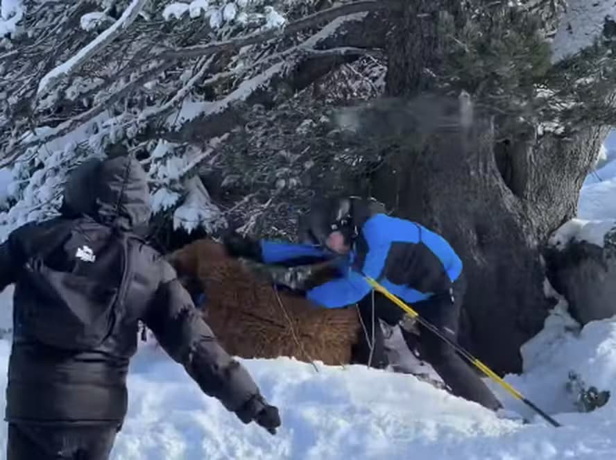 VÍDEO: Brasileiro fantasiado de personagem de “Star Wars” é espancado em estação de esqui na França