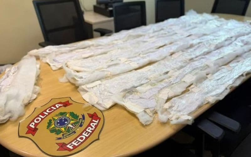 Dupla é presa em Manaus com cocaína líquida escondida em edredons para a Austrália