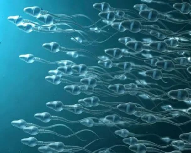 Câncer de próstata: vida sexual ativa pode estar associada a menor risco da doença