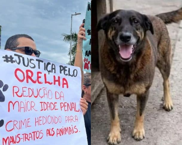 Manifestantes se reúnem na Ponta Negra para pedir justiça pelo cão “Orelha” em Manaus