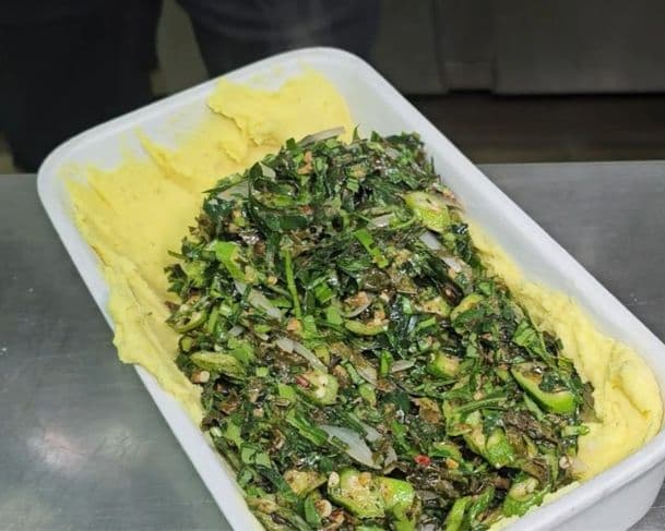 Conheça as PANCs da Amazônia e aprenda a fazer escondidinho com ora-pro-nóbis