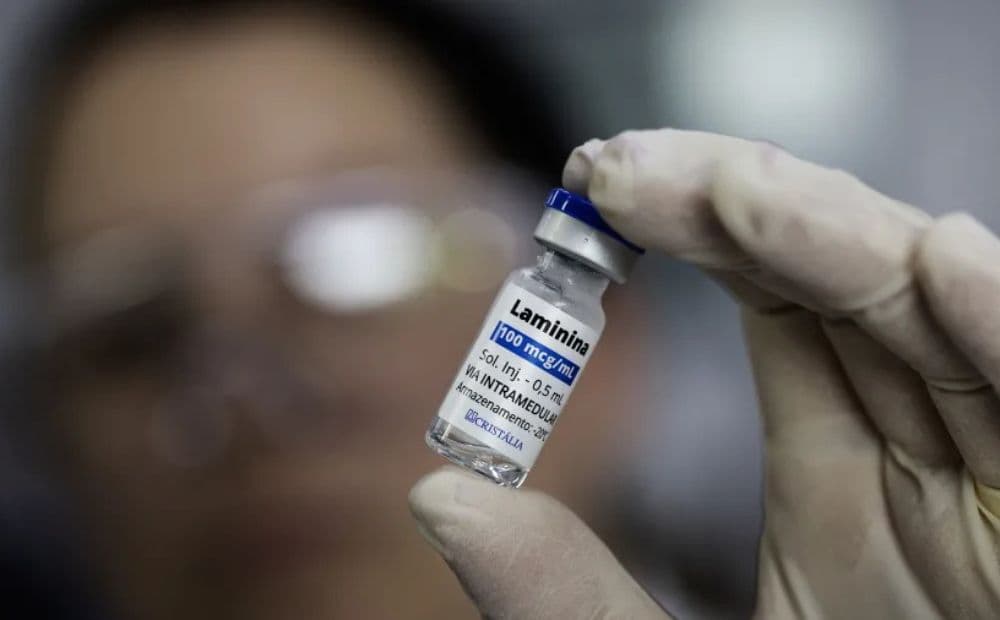 Polilaminina: proteína estudada por pesquisadora brasileira pode ajudar na regeneração da medula espinhal