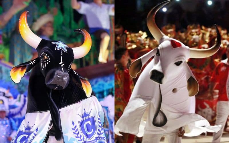 Temporada bovina 2026: confira calendário repleto de eventos em Parintins e Manaus