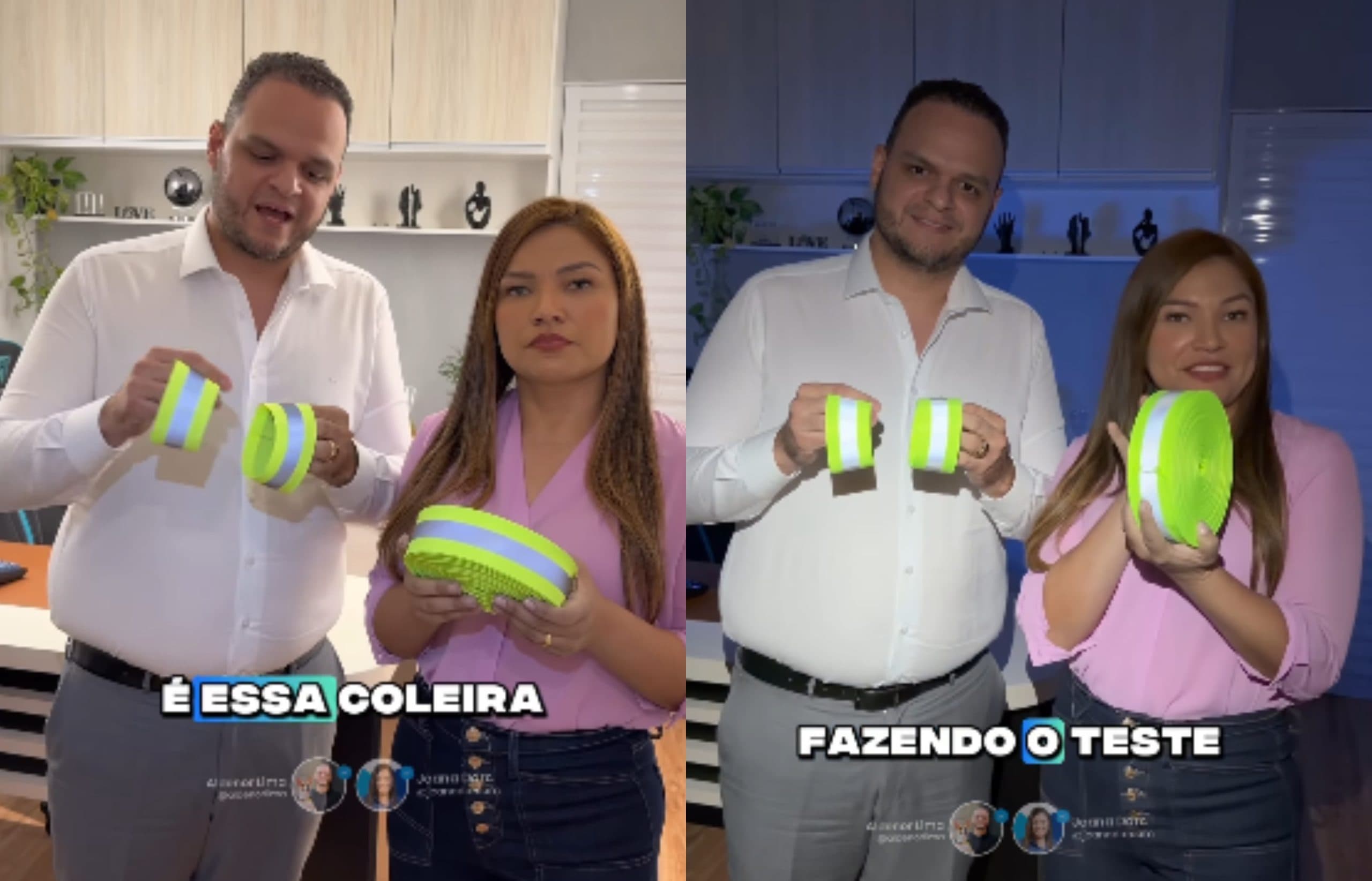 Coleiras refletivas surgem como solução para salvar animais de atropelamentos nas ruas do AM