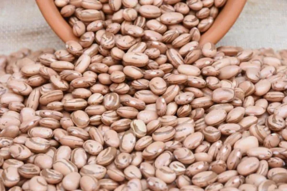 Chuvas disparam preço do feijão e pressionam cesta básica em Manaus