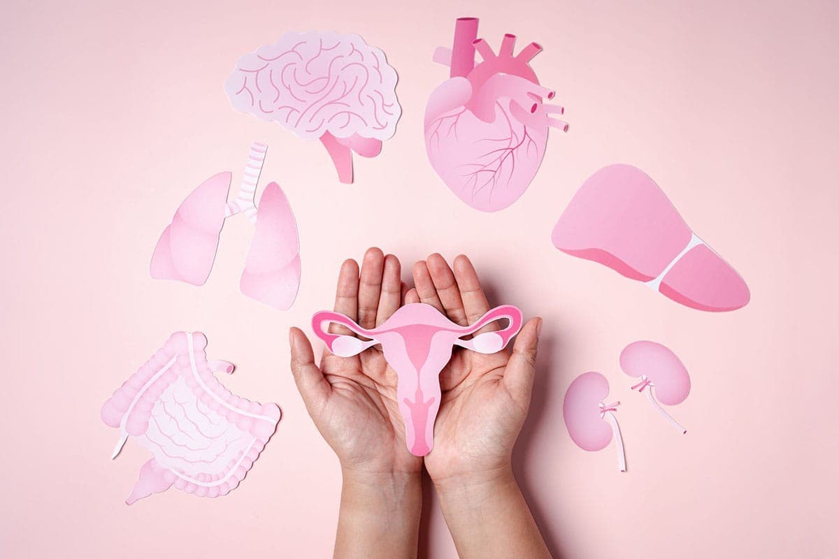 Saiba como identificar os primeiros sinais da perimenopausa no seu corpo