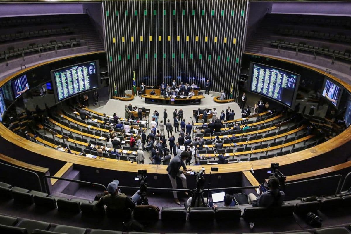 Candidatos podem ser obrigados a declarar cor para disputar eleições no Brasil