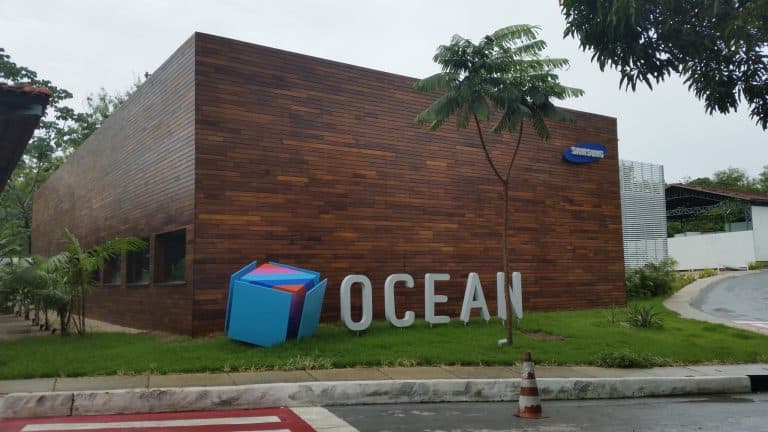 Ocean Brasil abre sete cursos gratuitos de IA em Manaus, em agosto