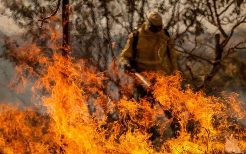 IA criada no Amazonas prevê queimadas com até 14 dias de antecedência