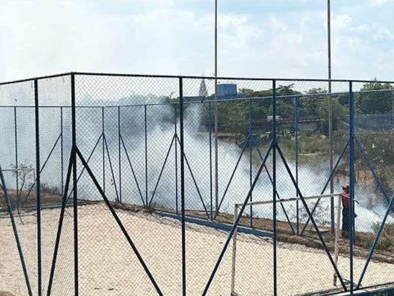 Incêndio atinge vegetação em igarapé de Educandos