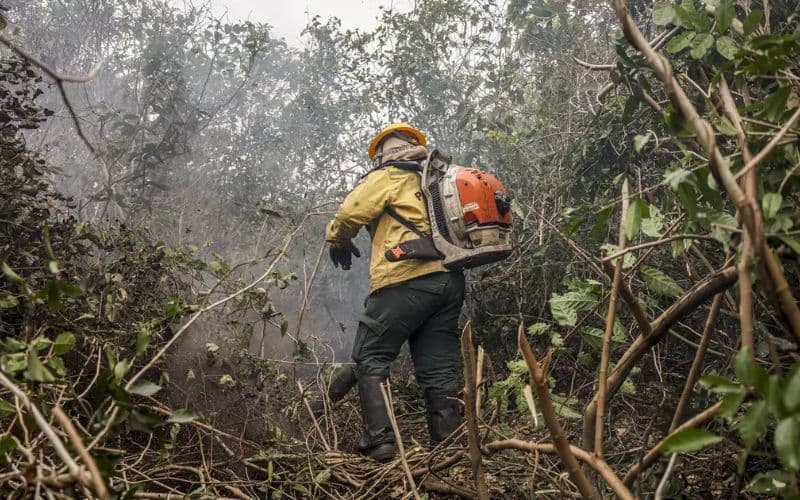 AM tem 8 incêndios ativos após 292 focos serem apagados