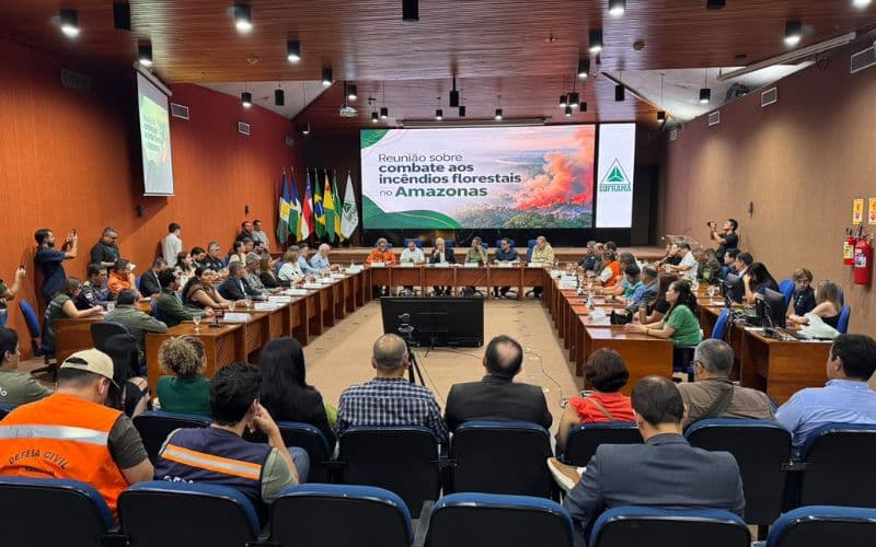 Reforço federal contra incêndios no Amazonas é discutido na Suframa