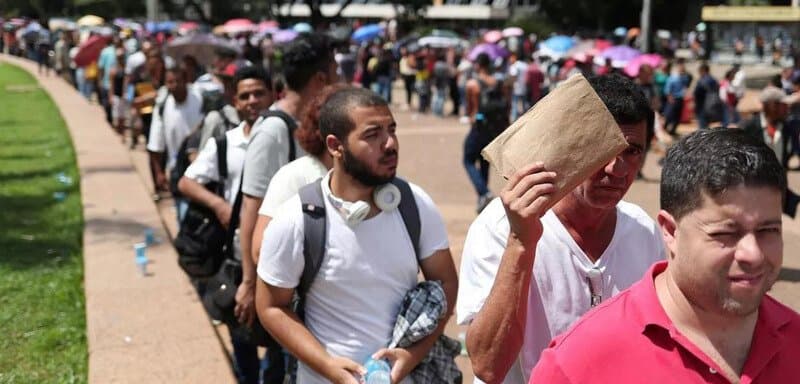 Desemprego registra queda de 11% em dezembro, mas falta de trabalho mantém alta