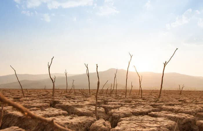 Dia de conscientização sobre mudanças climáticas: Pequenas ações fazem a diferença