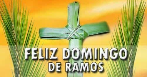 Domingo de Ramos será celebrado com missa em Manaus