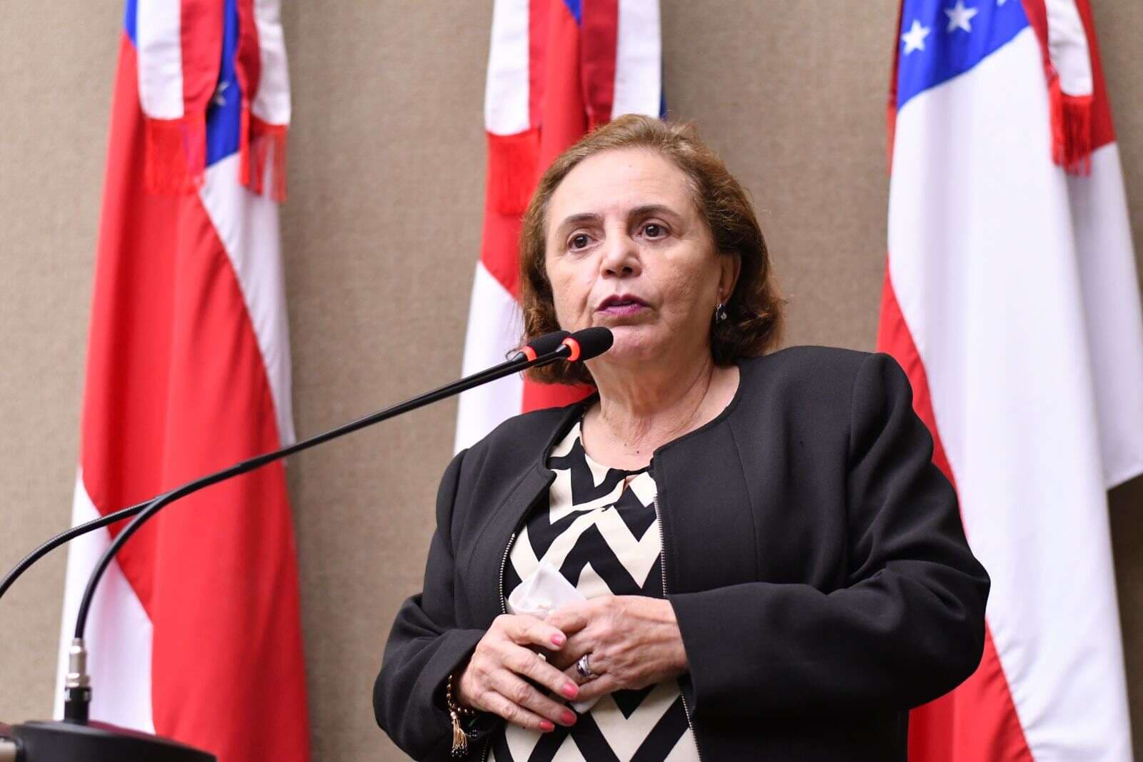 Therezinha Ruiz assume liderança do PL em Manaus