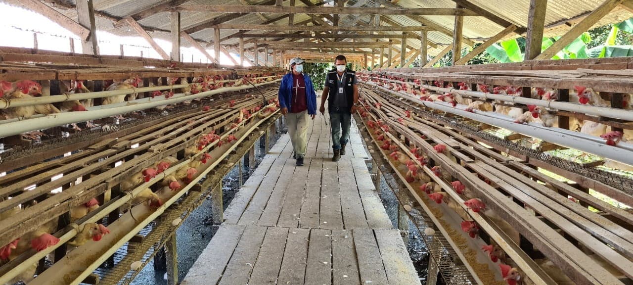 Lei que estabelece o Serviço de Inspeção Municipal em Manaus é aprovada na Câmara Municipal de Manaus