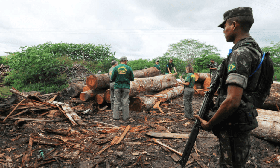 Alertas de desmatamento na Amazônia caem 45,7% em um ano, informa governo