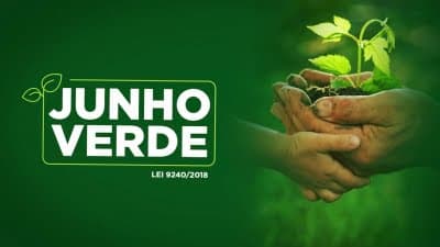 Senado aprova a criação da Campanha Junho Verde