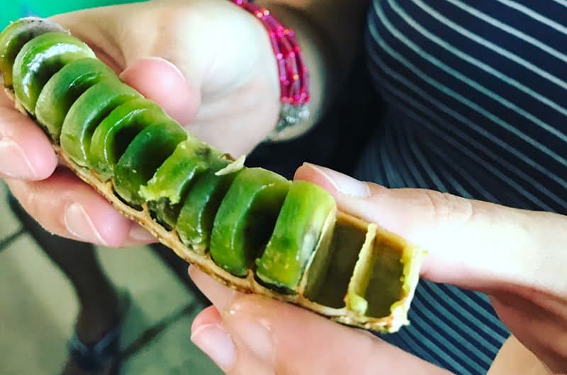 Frutos nativos indispensáveis para quem quiser ter uma verdadeira experiência amazônica