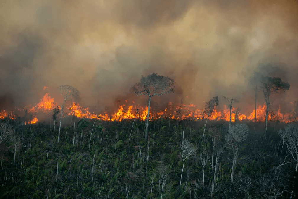 Relatora ajusta PL de Amom de combate a incêndios na Amazônia e comissão aprova