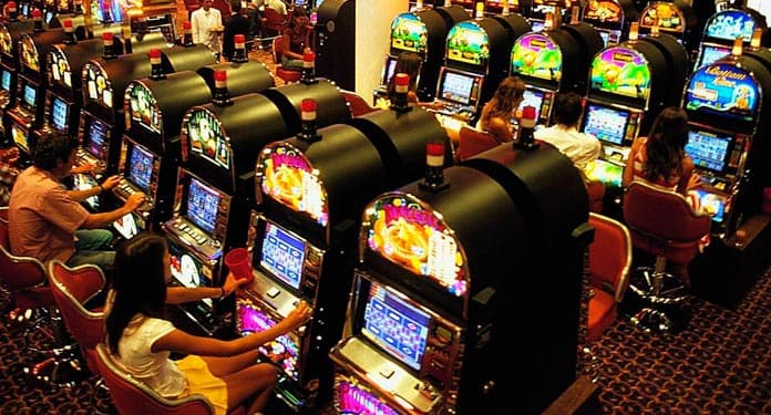 ‘Boca de abiu’: Braga e Omar silenciam sobre legalização de cassinos e jogo do bicho